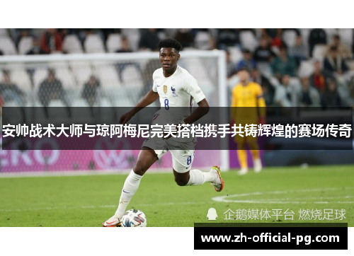 安帅战术大师与琼阿梅尼完美搭档携手共铸辉煌的赛场传奇