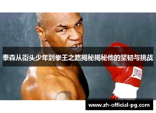 泰森从街头少年到拳王之路揭秘揭秘他的坚韧与挑战