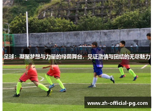 足球：凝聚梦想与力量的绿茵舞台，见证激情与团结的无尽魅力