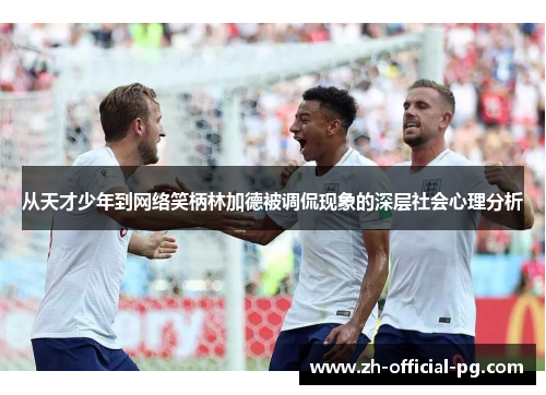 从天才少年到网络笑柄林加德被调侃现象的深层社会心理分析